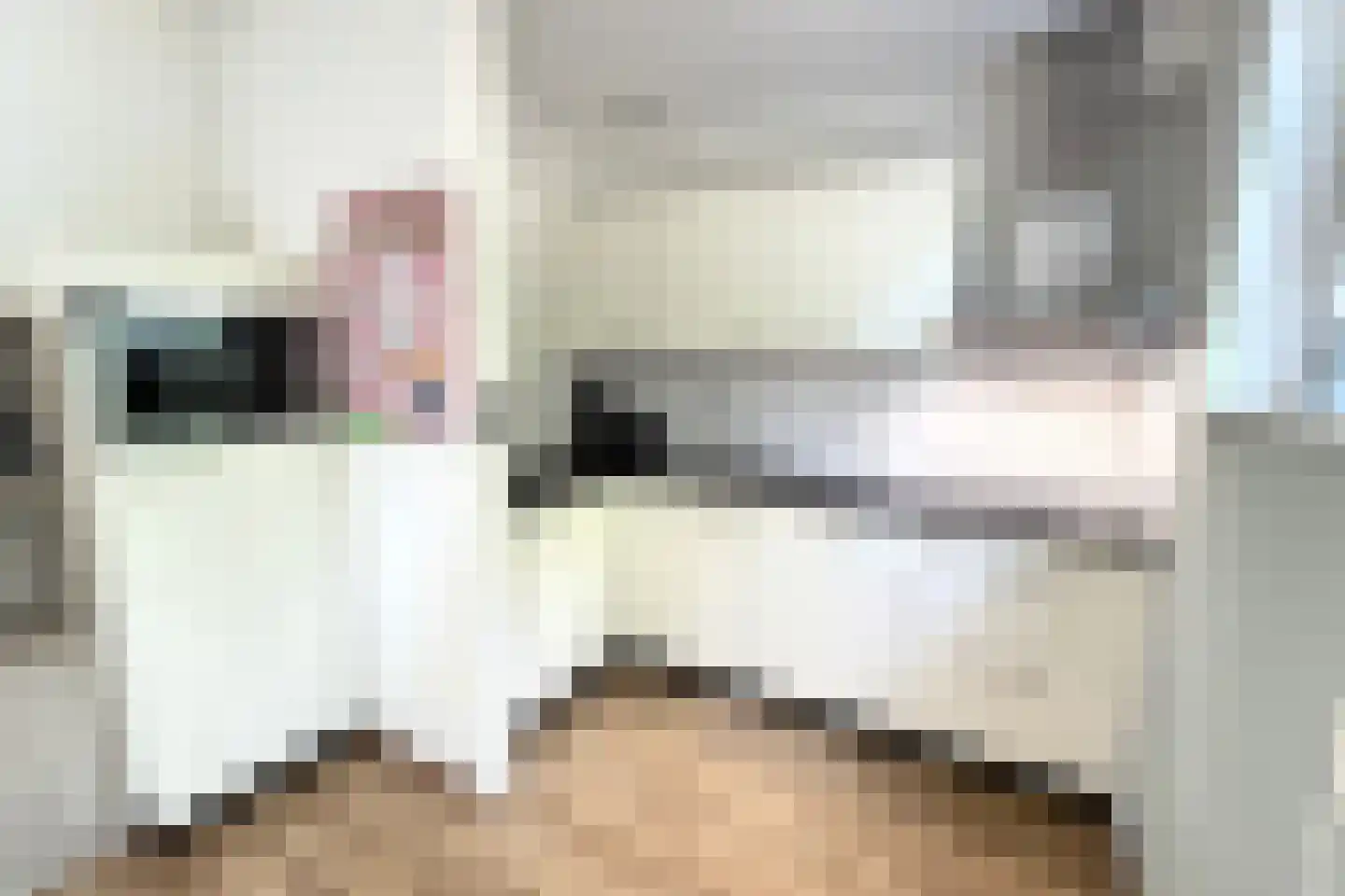 Tunnelweg 7 73 Haarle thumbnail 10