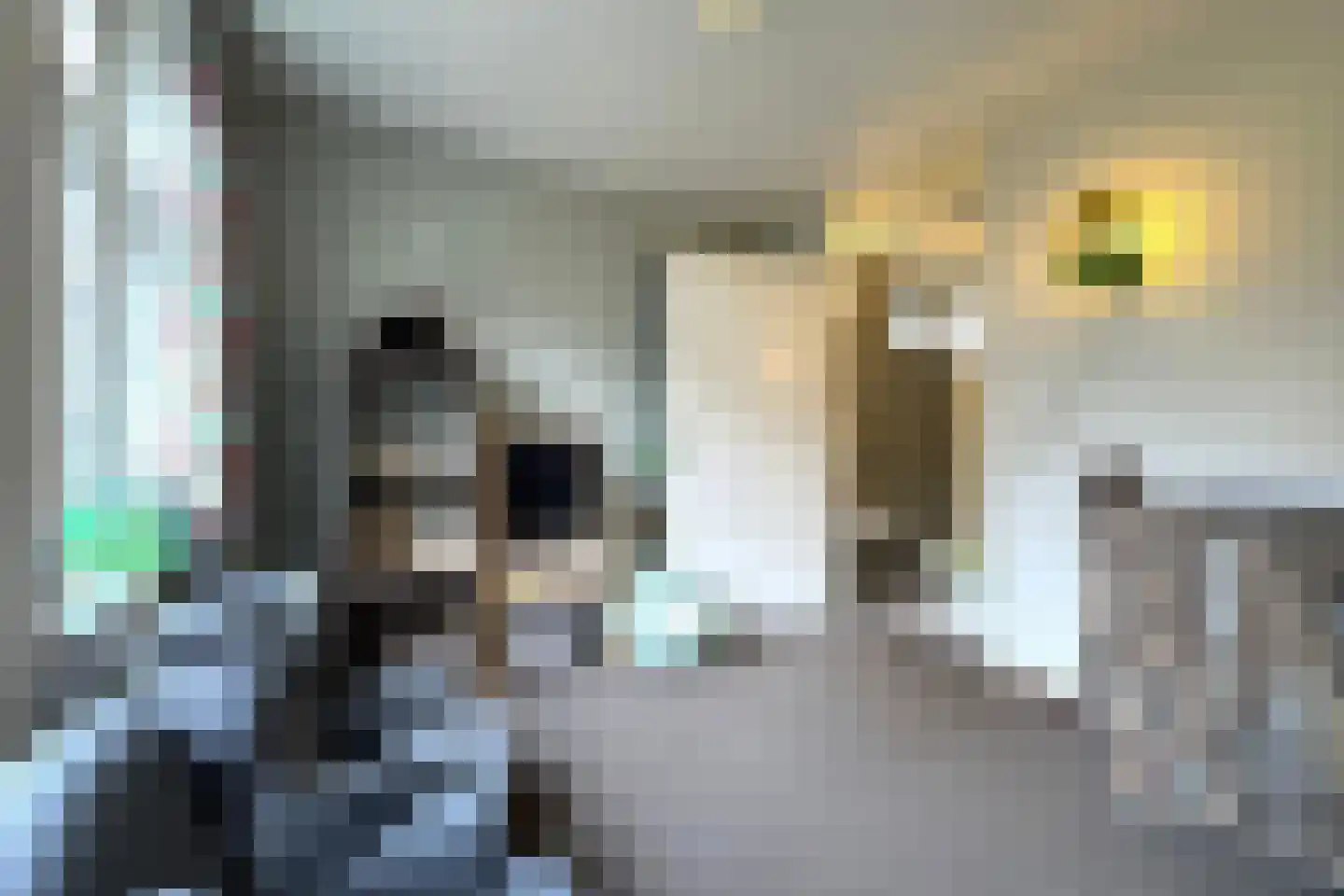 Tunnelweg 7 73 Haarle thumbnail 11