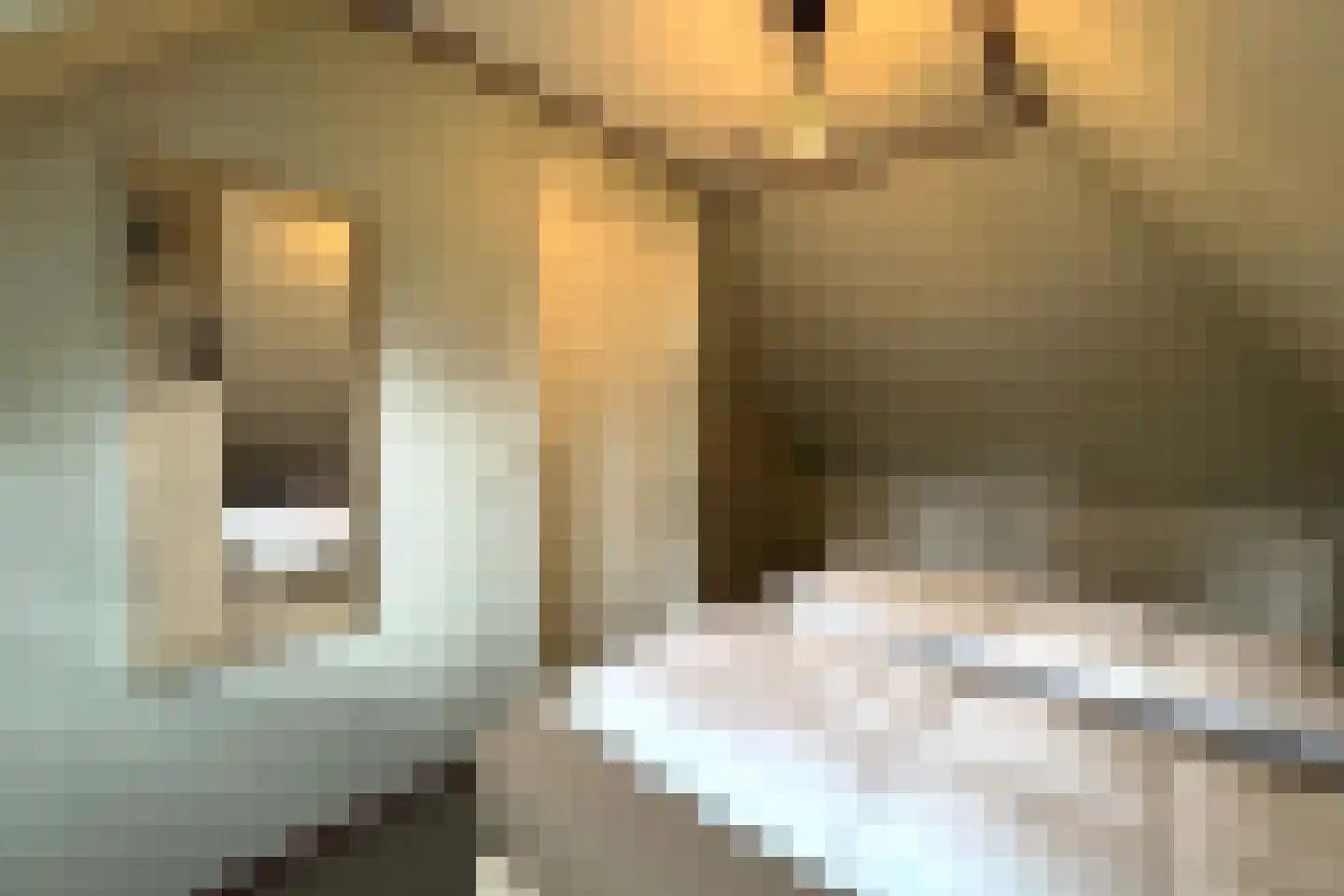 Tunnelweg 7 73 Haarle thumbnail 15