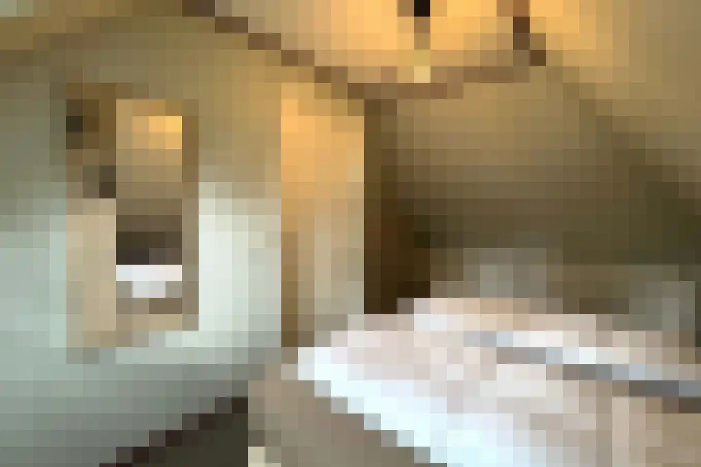 Tunnelweg 7 73 Haarle thumbnail 15