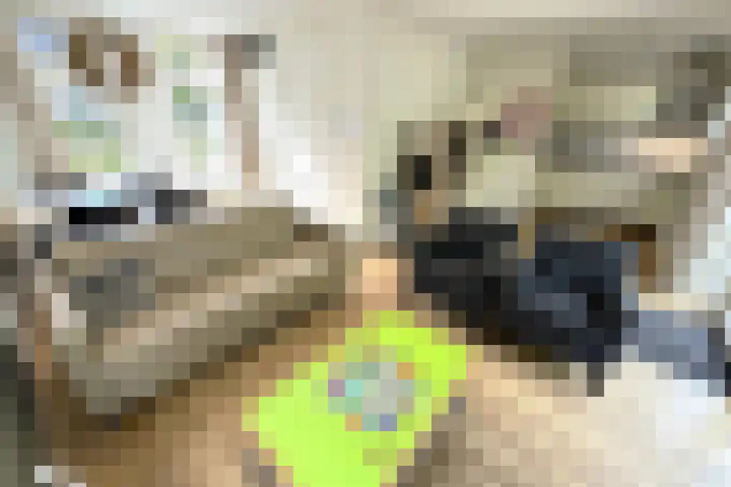 Tunnelweg 7 73 Haarle thumbnail 6