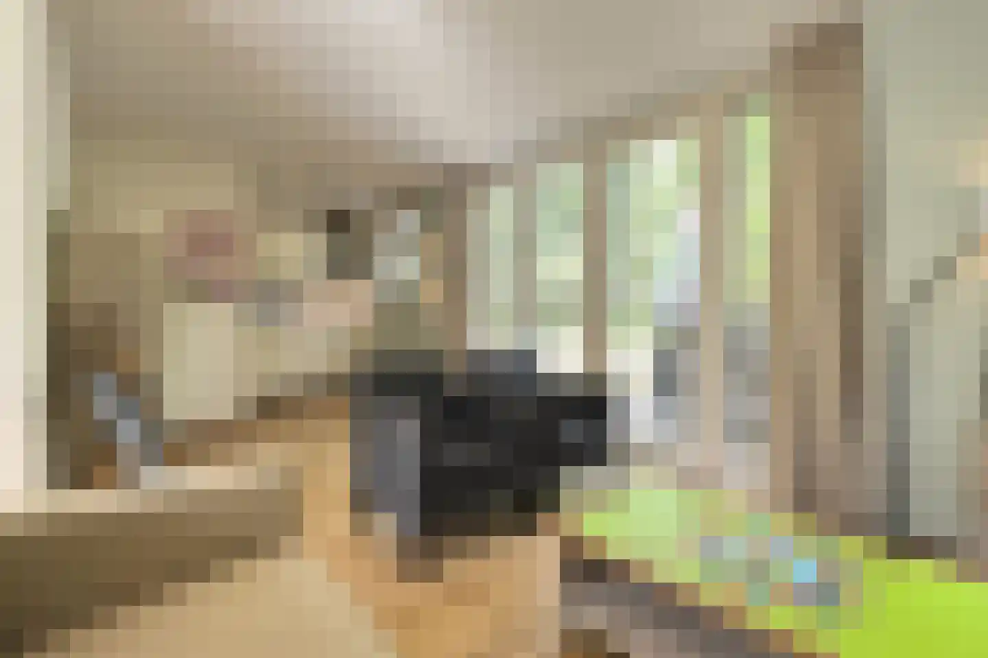 Tunnelweg 7 73 Haarle thumbnail 7