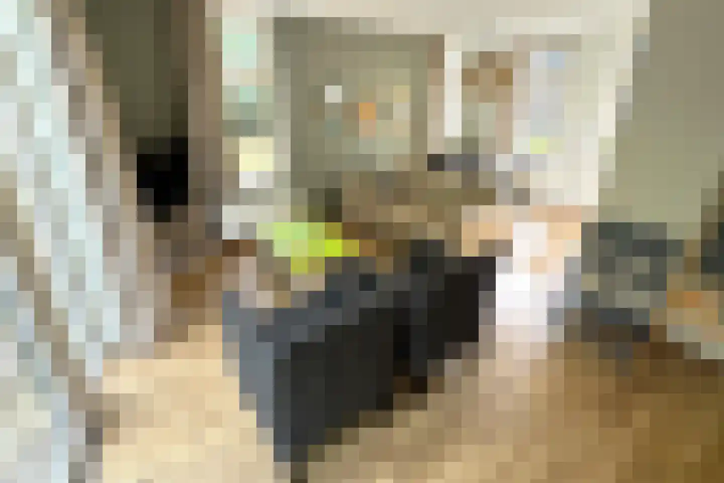 Tunnelweg 7 73 Haarle thumbnail 9