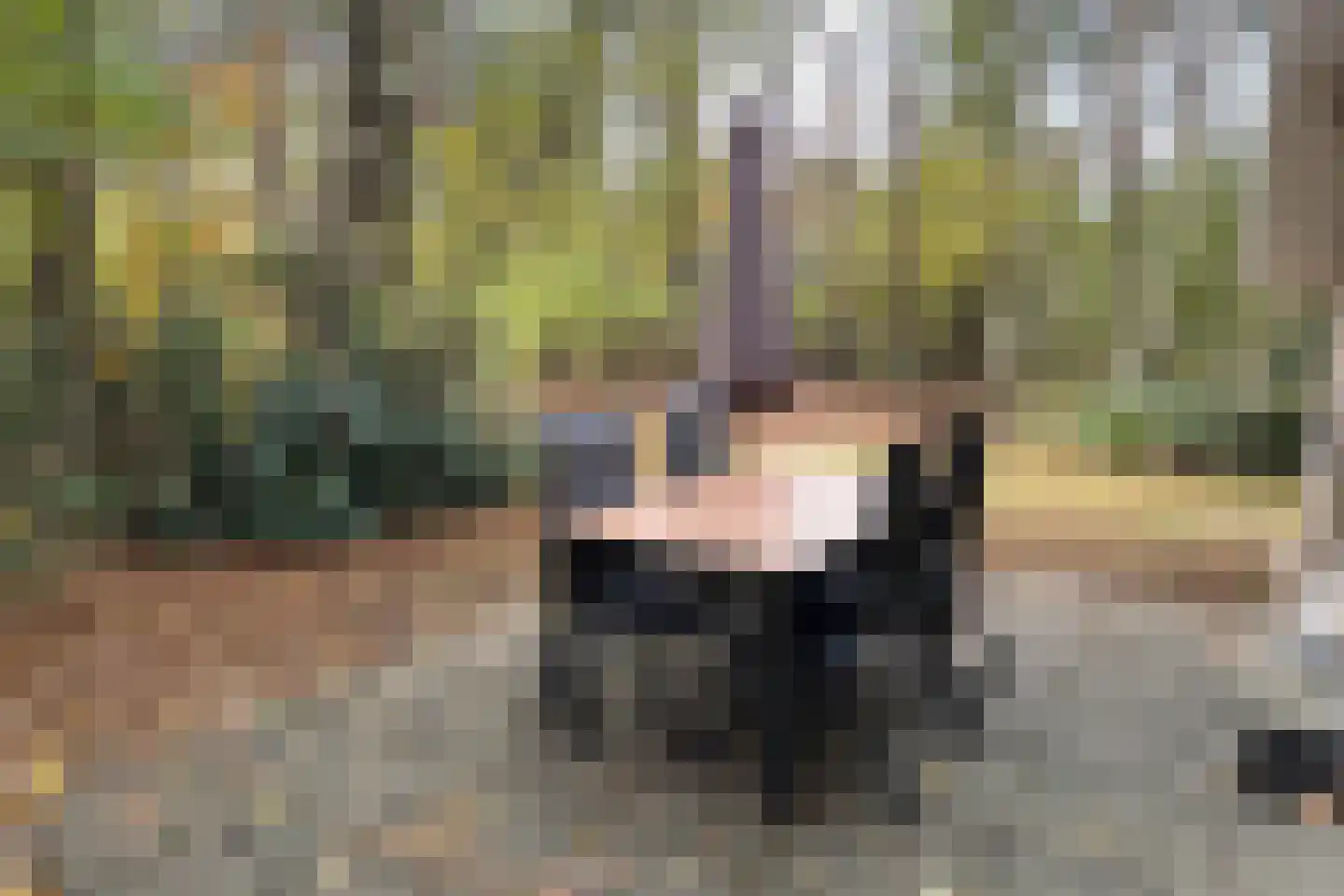 Tunnelweg 7 78 Haarle thumbnail 4
