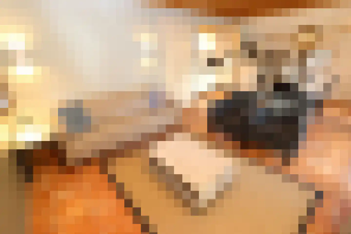 Tunnelweg 7 78 Haarle thumbnail 5