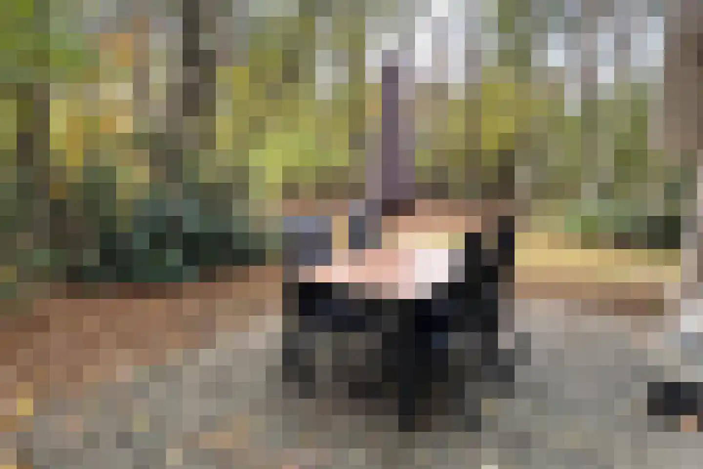 Tunnelweg 7 78 Haarle thumbnail 5