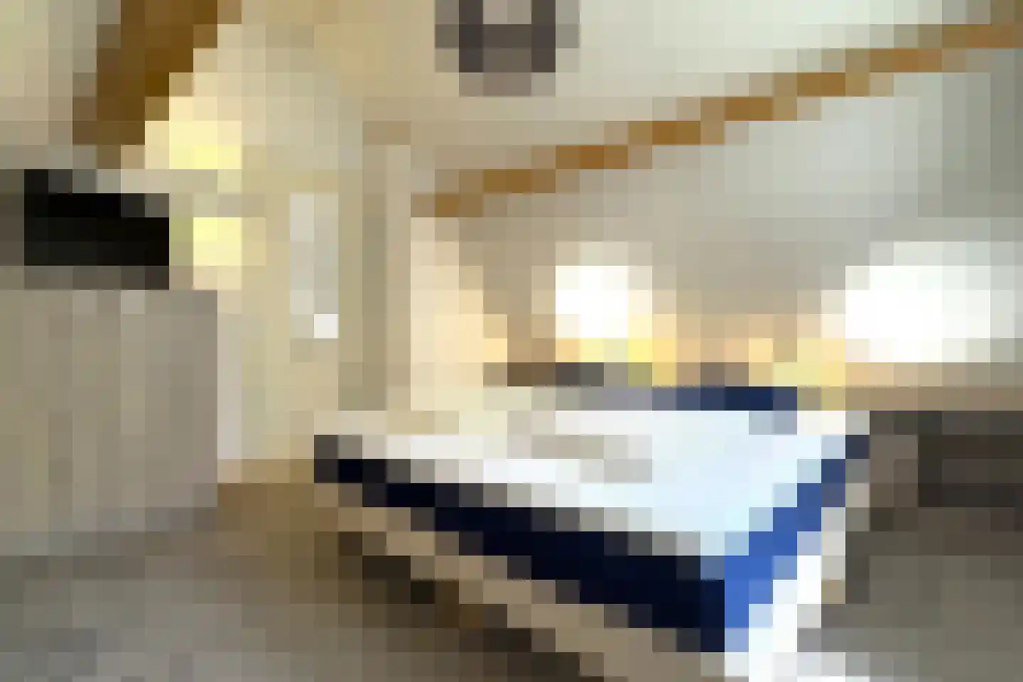 Tunnelweg 7 87 Haarle thumbnail 16