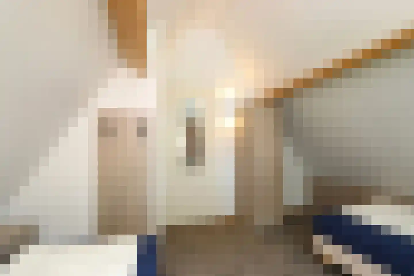 Tunnelweg 7 87 Haarle thumbnail 19