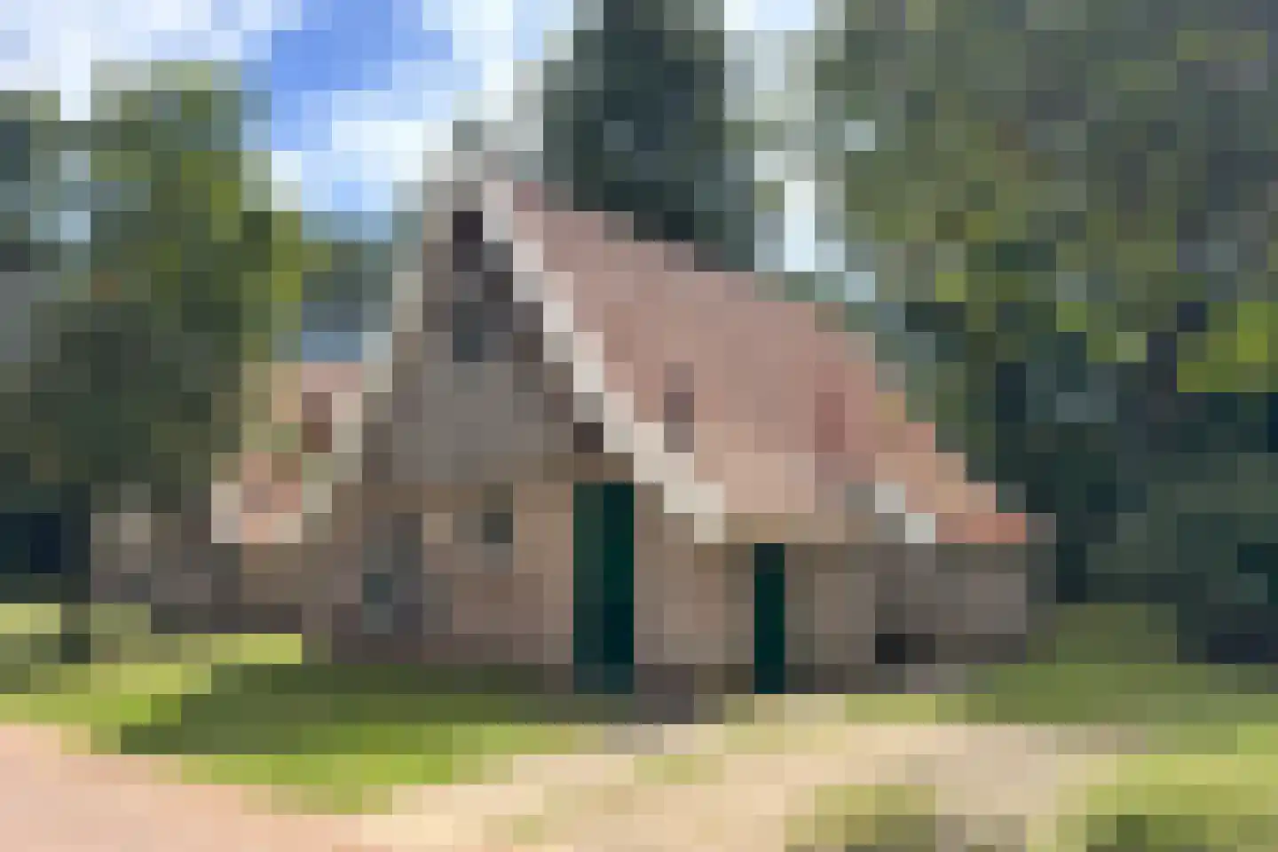 Tunnelweg 7 87 Haarle thumbnail 4