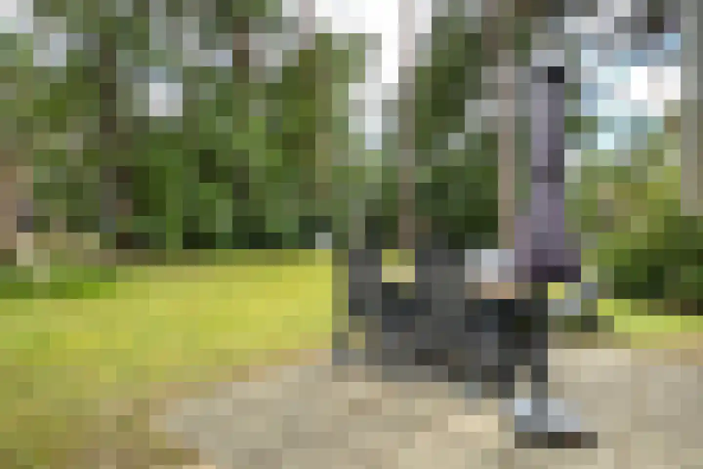 Tunnelweg 7 87 Haarle thumbnail 6