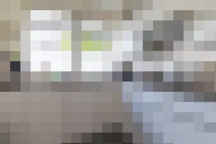 Túnstrjitte 15 Mitselwier thumbnail 17