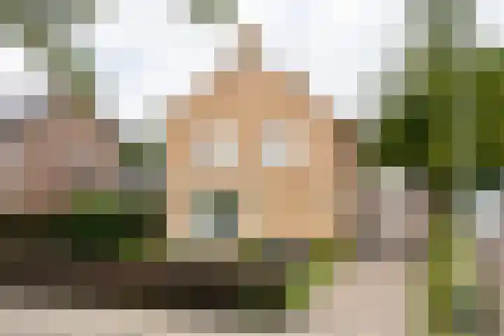 Túnstrjitte 15 Mitselwier foto 2