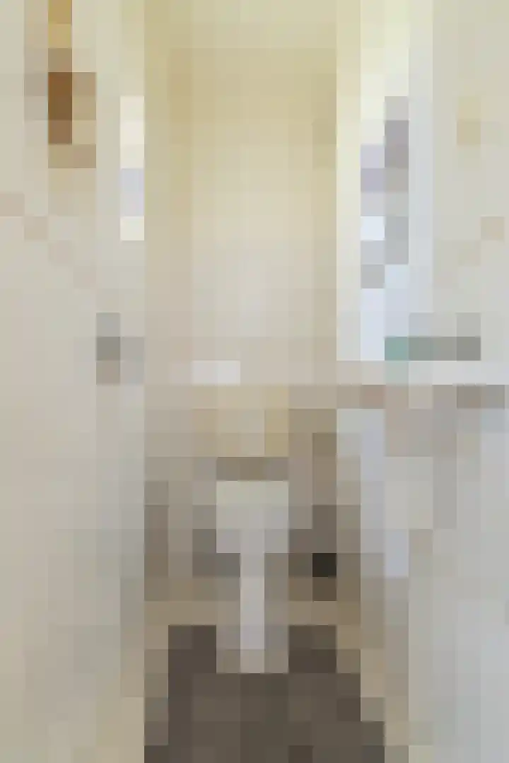 Túnstrjitte 15 Mitselwier thumbnail 25