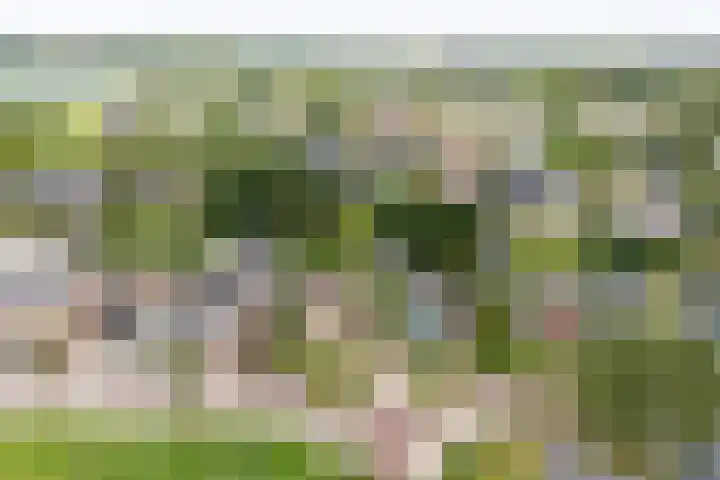 Túnstrjitte 15 Mitselwier foto 3