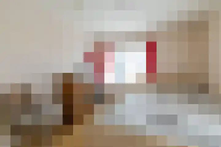 Túnstrjitte 15 Mitselwier thumbnail 31