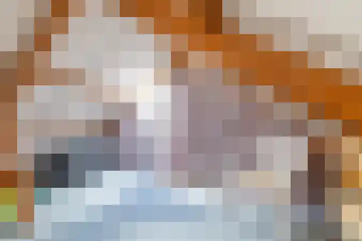 Túnstrjitte 15 Mitselwier thumbnail 41