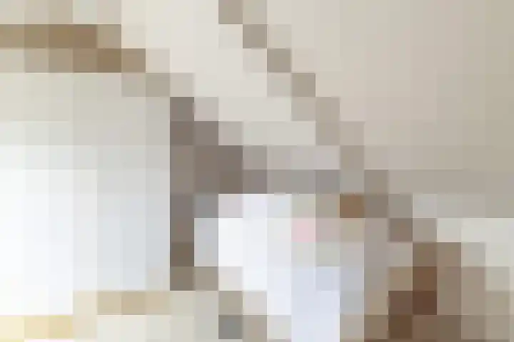 Túnstrjitte 15 Mitselwier thumbnail 43