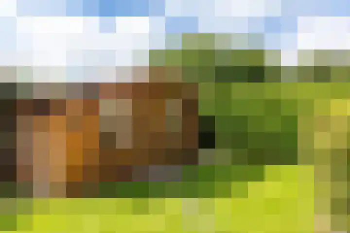 Túnstrjitte 15 Mitselwier thumbnail 49