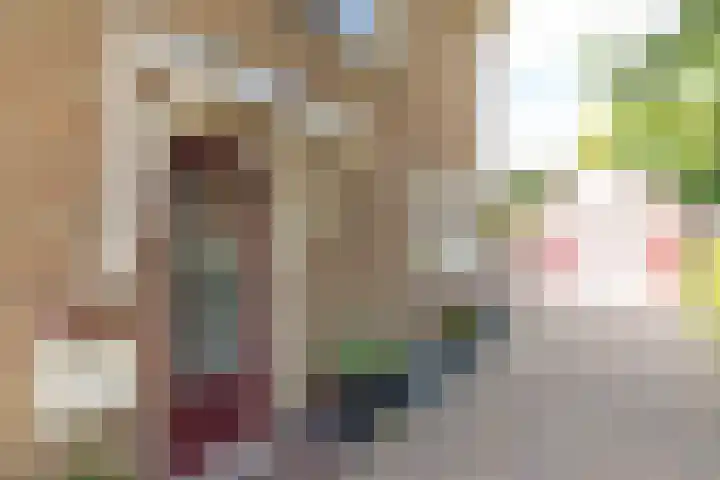 Túnstrjitte 15 Mitselwier thumbnail 5