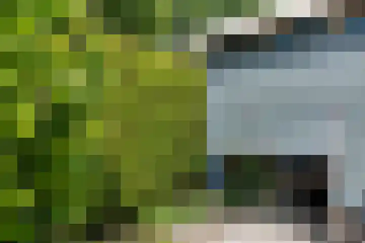 Túnstrjitte 15 Mitselwier thumbnail 51