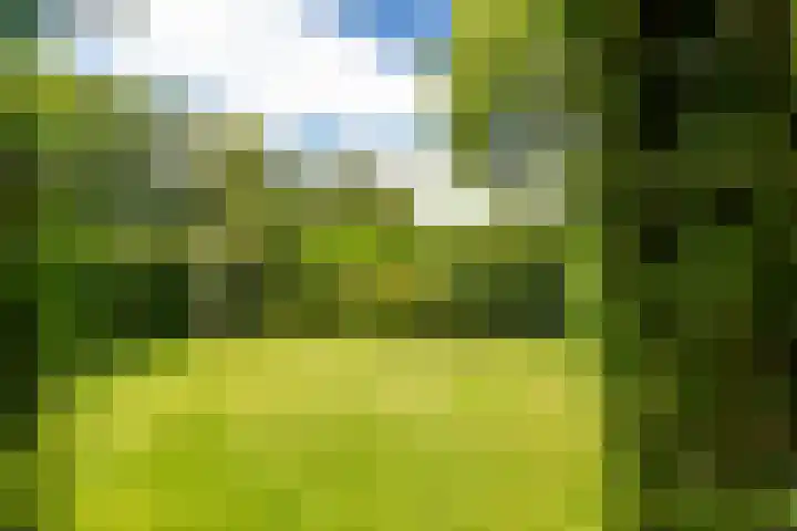Túnstrjitte 15 Mitselwier thumbnail 53