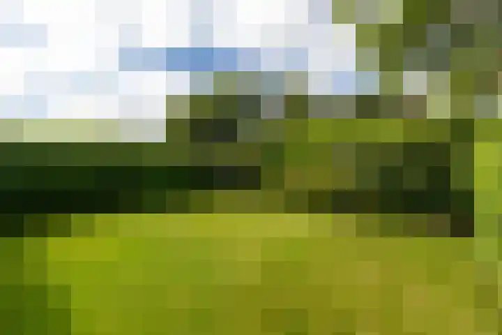 Túnstrjitte 15 Mitselwier thumbnail 54
