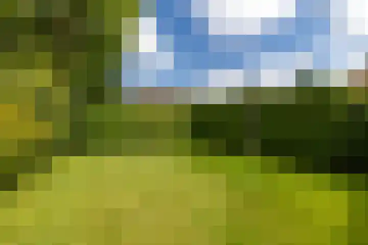 Túnstrjitte 15 Mitselwier thumbnail 55
