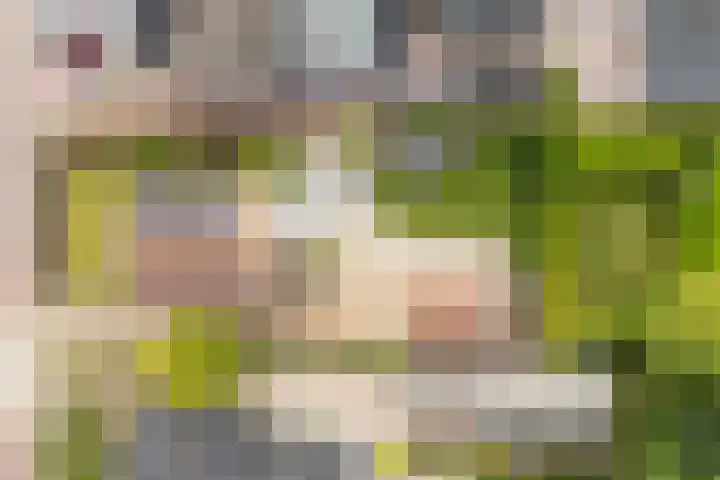 Túnstrjitte 15 Mitselwier thumbnail 59