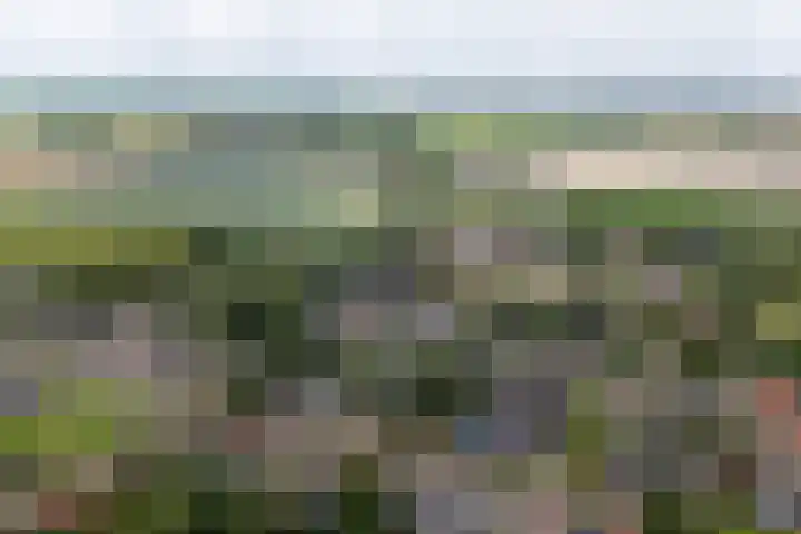 Túnstrjitte 15 Mitselwier thumbnail 60