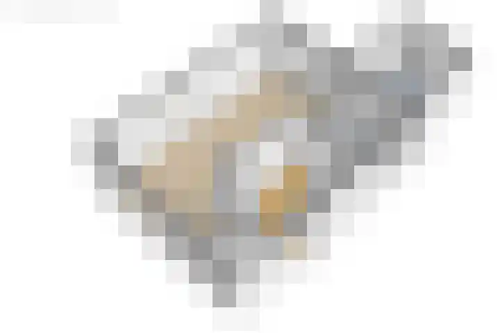 Túnstrjitte 15 Mitselwier thumbnail 64