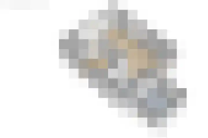 Túnstrjitte 15 Mitselwier thumbnail 65