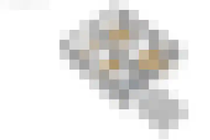 Túnstrjitte 15 Mitselwier thumbnail 72