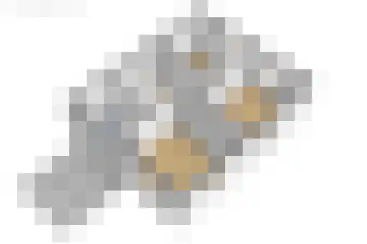 Túnstrjitte 15 Mitselwier thumbnail 73