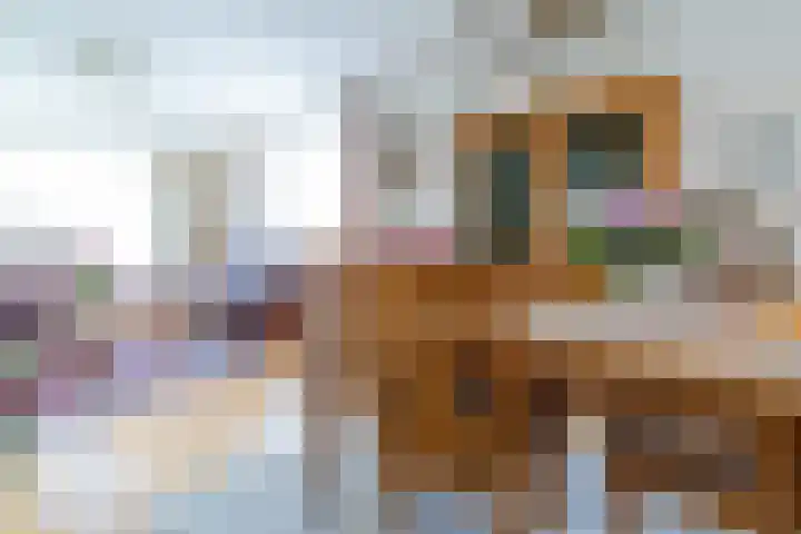 Túnstrjitte 15 Mitselwier thumbnail 9