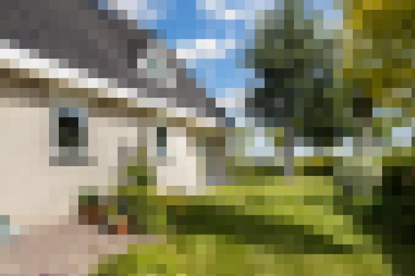 Tuolle 1 Terherne thumbnail 12