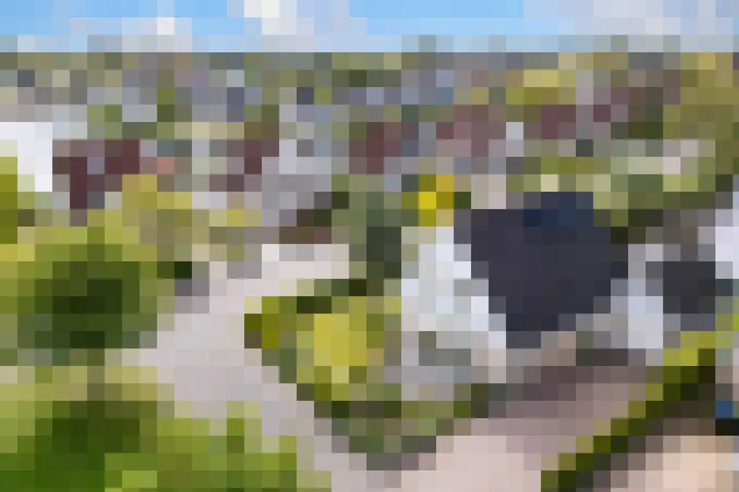 Tuolle 1 Terherne thumbnail 13