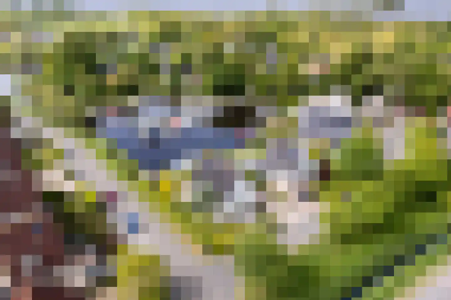 Tuolle 1 Terherne thumbnail 14