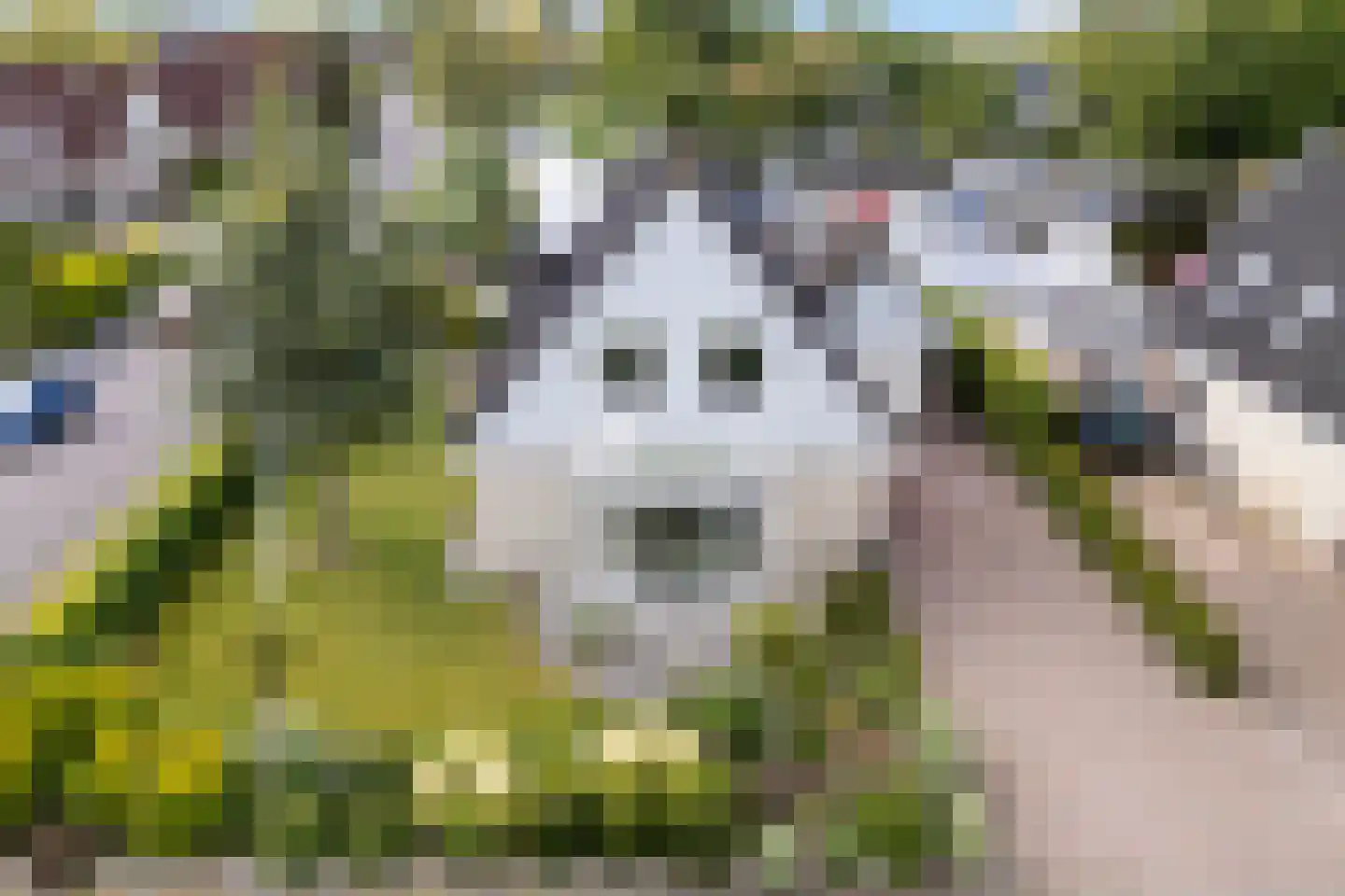 Tuolle 1 Terherne thumbnail 15