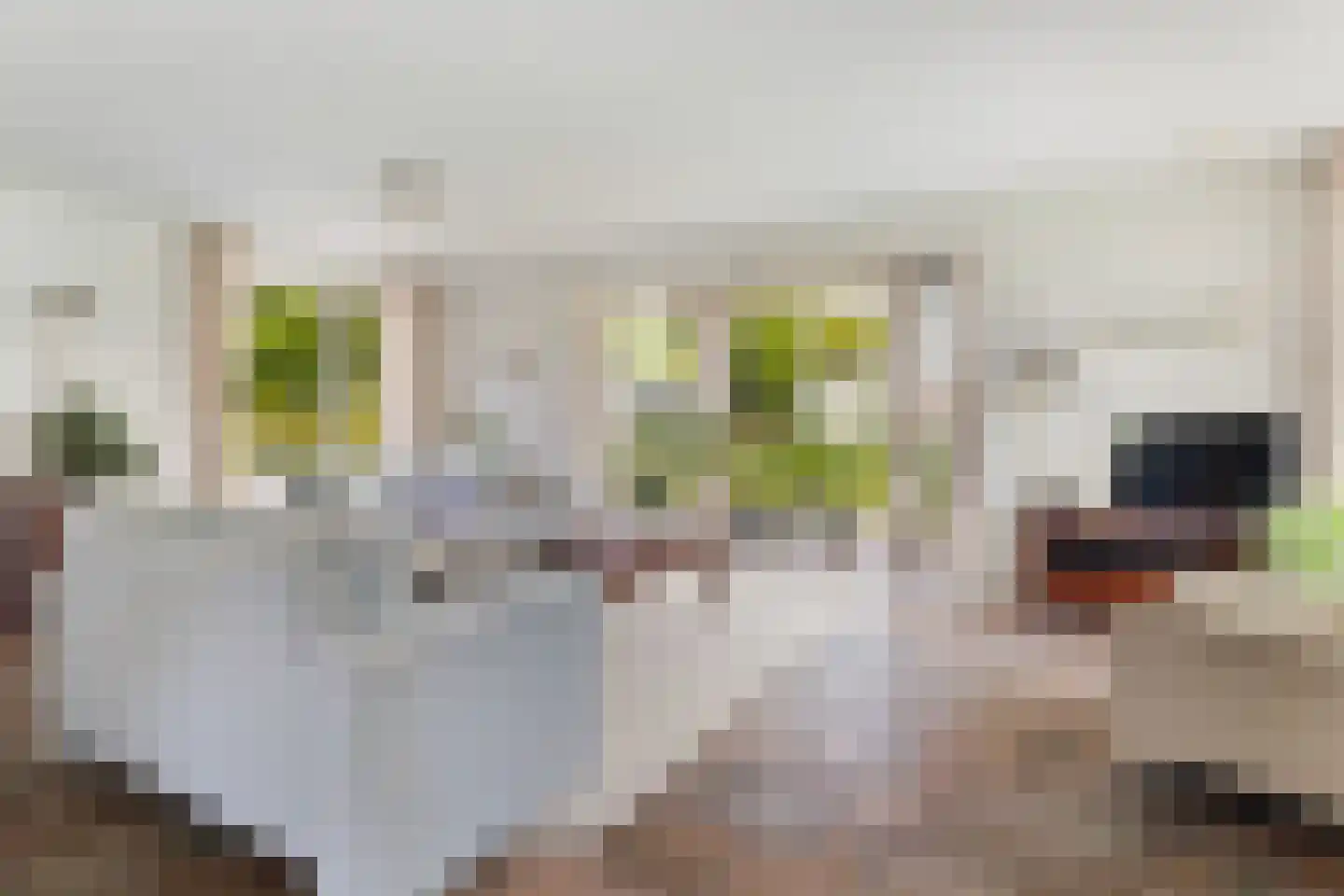 Tuolle 1 Terherne thumbnail 32