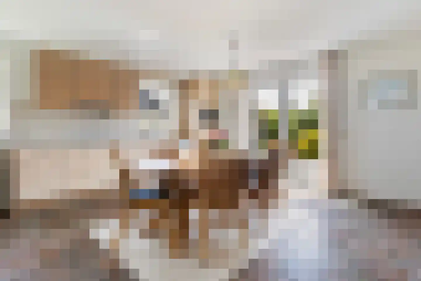 Tuolle 1 Terherne thumbnail 36