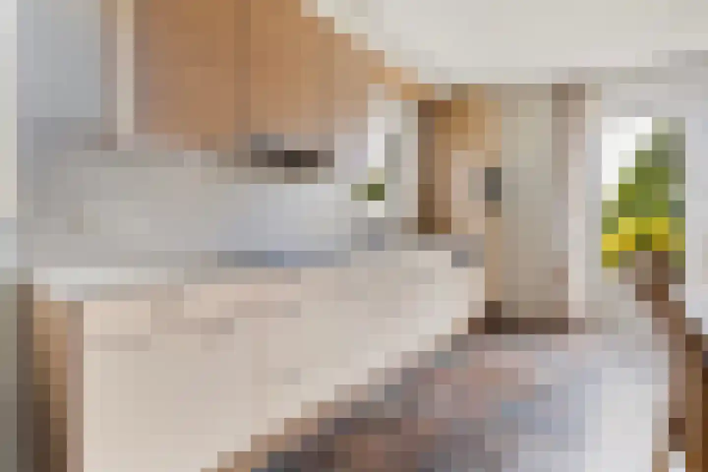 Tuolle 1 Terherne thumbnail 37