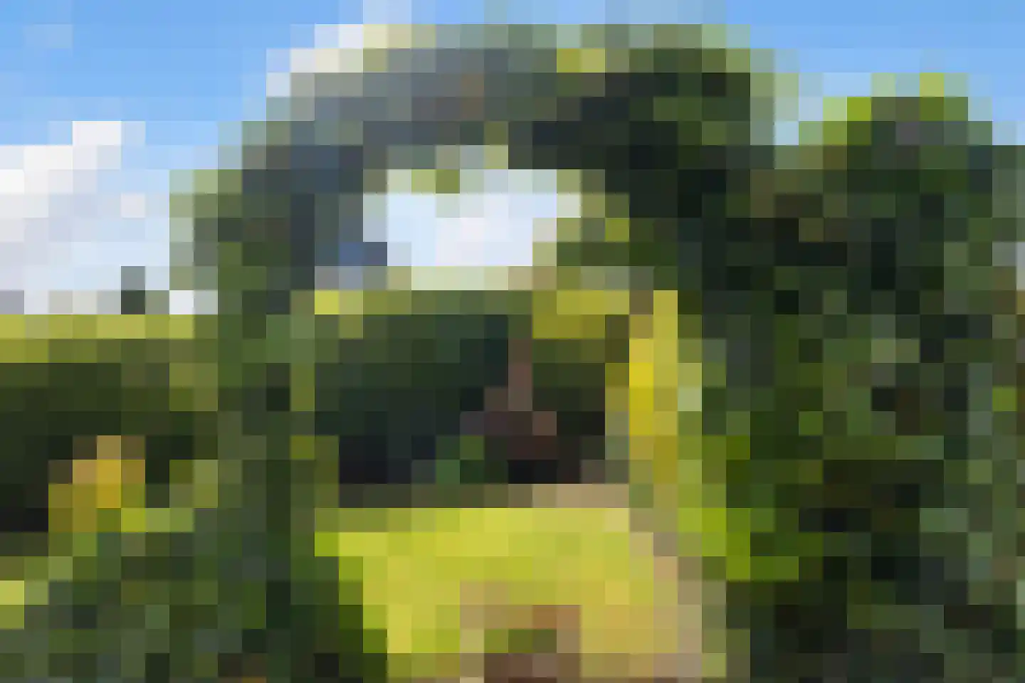 Tuolle 1 Terherne thumbnail 43