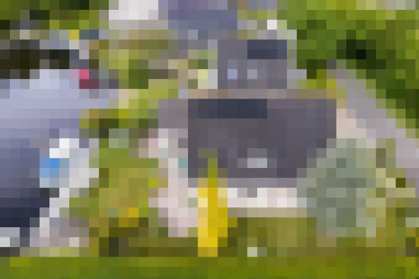 Tuolle 1 Terherne thumbnail 60