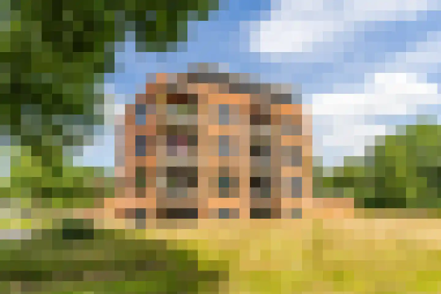 Tuorrebout 112 Burgum thumbnail 10