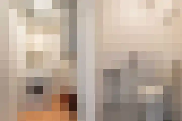 Tuorrebout 120 Burgum thumbnail 16