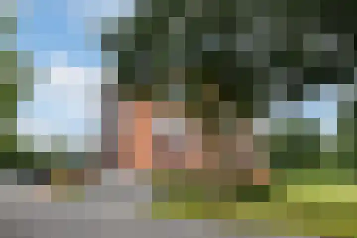 Tuorrebout 120 Burgum thumbnail 6