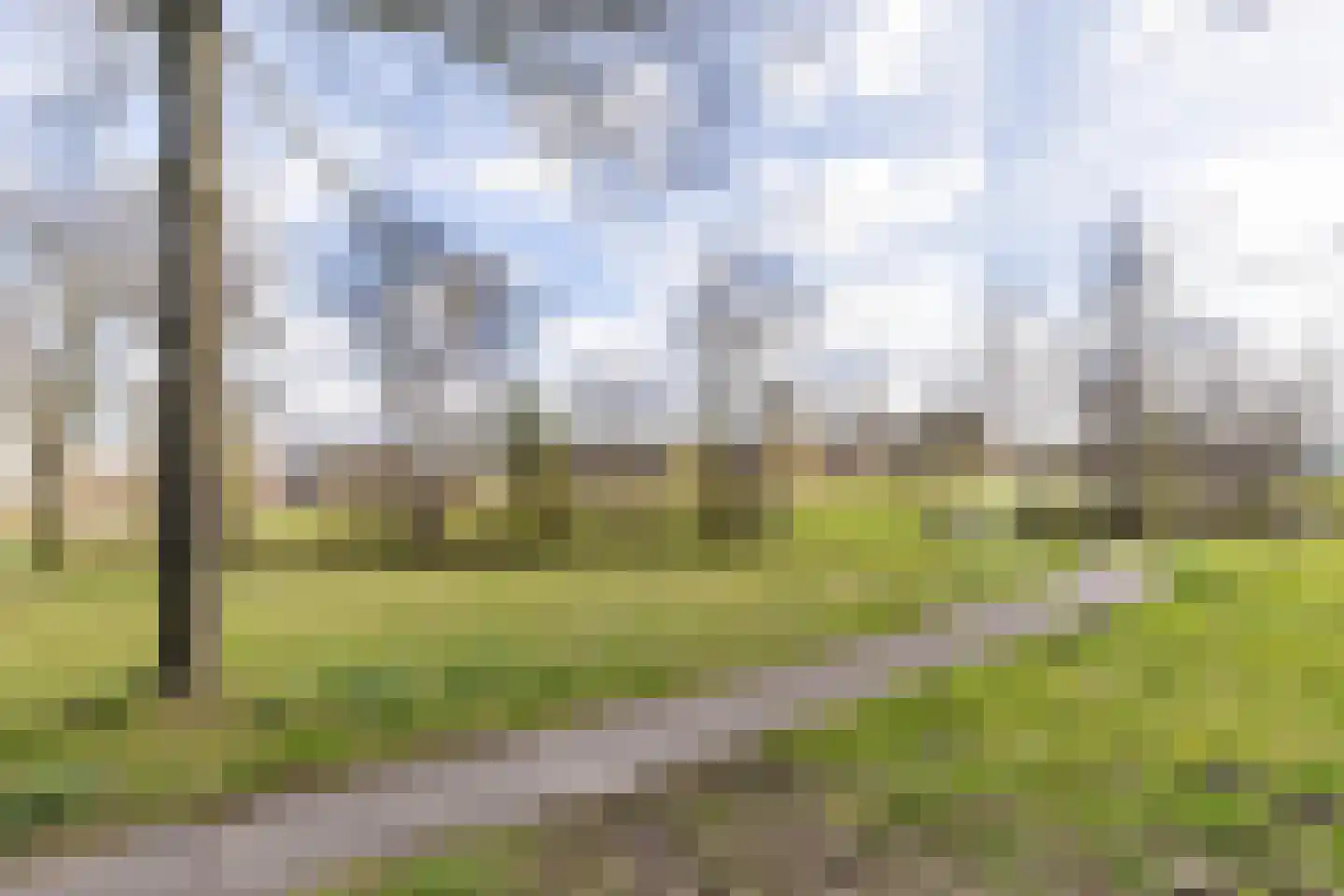 Tuorrebout 125 Burgum thumbnail 7