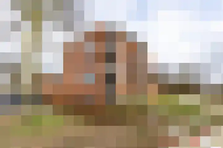 Tuorrebout 54 Burgum thumbnail 13