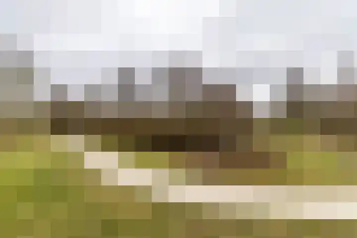 Tuorrebout 54 Burgum thumbnail 43