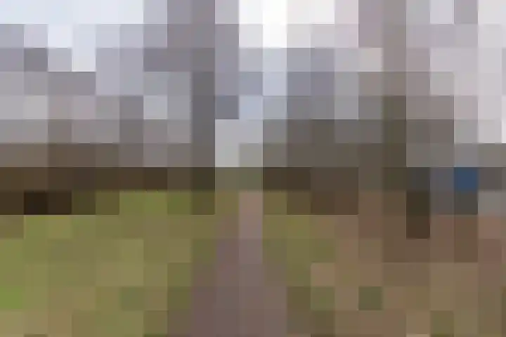 Tuorrebout 54 Burgum thumbnail 44